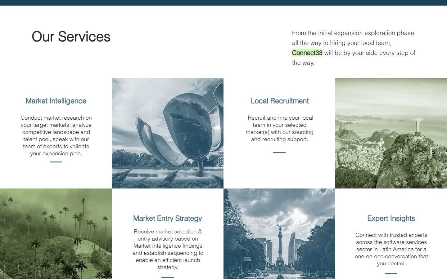 Connect33 services section, desktop, Wix